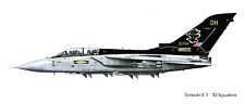 RAF TORNADO - 11 SQUADRON  PROFILE PRINT.