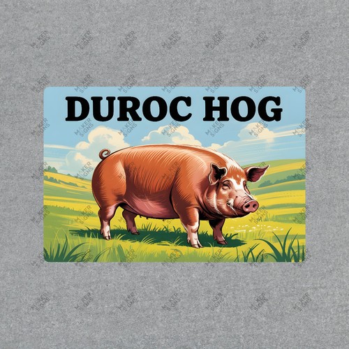 Vintage style duroc - hog, farm