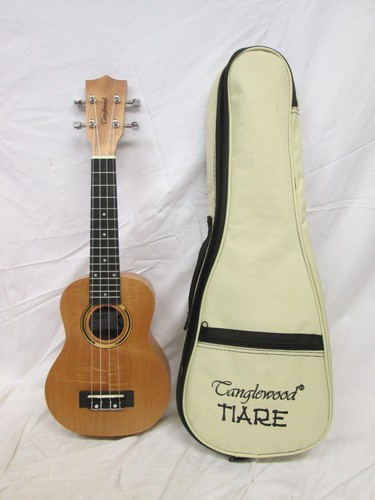 Very nice tanglewood - nice,