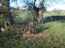 PHOTO  OLD POTATO DIGGER NEAR