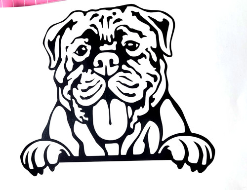 Bull mastiff dog - mastiff,