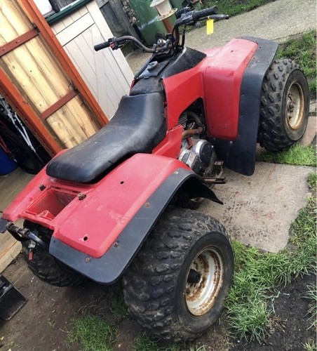 Kawasaki quad bike klf300 - bike,