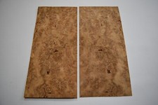Oak Burr / Burl - 2