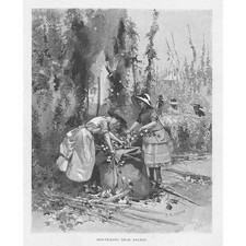 NEW ZEALAND Hop Picking near Nelson - Antique Print 1888