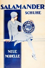 365231 Salamander Shoes