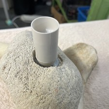 Fossilized whale vertebrae - whale,