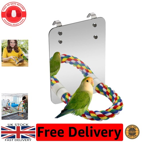 Durable acrylic bird mirror - acrylic,