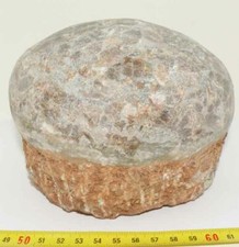 Dinosaur Egg Hadrosaur (China