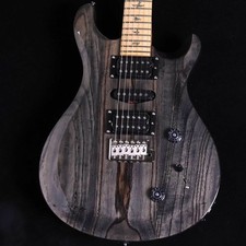 Paul Reed Smith PRS Se Swamp