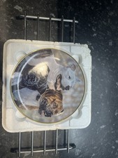 Paul Doyle Playful Trio’ Plate - with Certificate of Authenticity