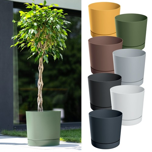 Plant pot with saucer indoor - plant,