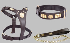 Staffie Dog Harness Collar and