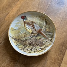 Chinese pheasant game birds - pheasant,