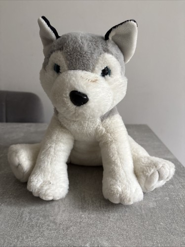 Cute cuddly toy husky - cute, husky.