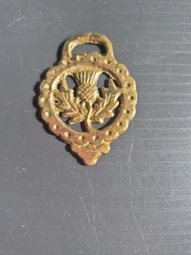 Thistle vintage brass wall - brass,