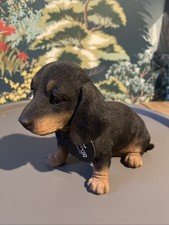 Vivid Arts Puppy Dachshund Black And Tan