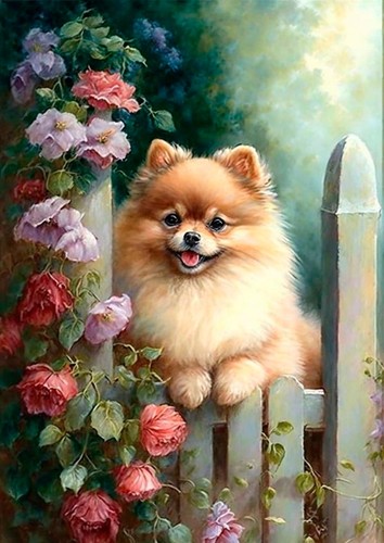 Pomeranian dog greeting - dog, card
