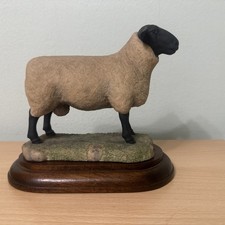 BORDER FINE ARTS SUFFOLK RAM