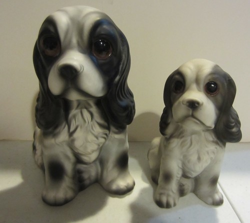 Springer spaniel dog - springer,