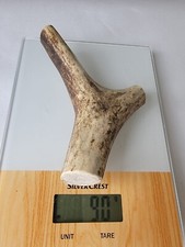 Dog chew/New season/Red Deer