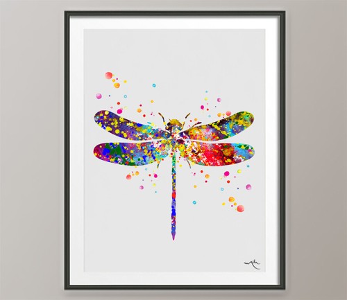 Dragonfly watercolor - dragonfly,