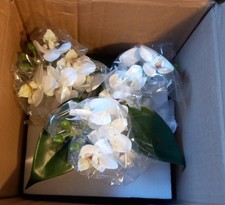 Phalaenopsis Orchid Artificial