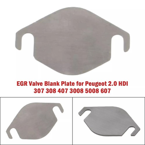 Egr valve blank plate - valve, ford