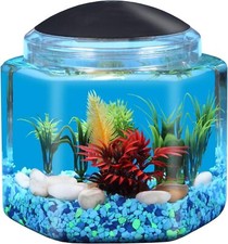 1 Gallon Hex BettaTank - LED