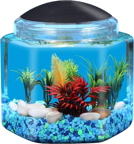Gallon hex bettatank - gallon,