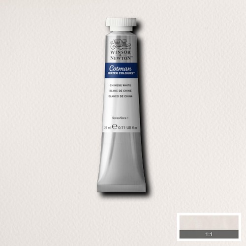 Winsor newton watercolour - newton,