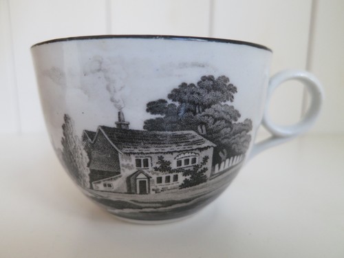 New hall teacup bat print - hall,