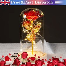 LED Beauty and the Beast Rose