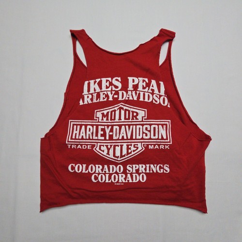 Harley davidson pikes peak - pikes,