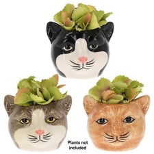 6 Types Moggy Pots, Planters