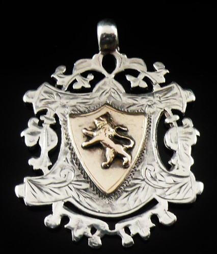 Sterling silver gold lion - sterling,