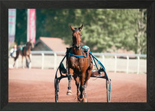 horse racing Framed Wall Art