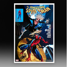 The Amazing Spider-Man Colour Print – Signed by Stan Lee – Marvel Creator Art
