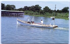 Postcard MD Maryland Smith