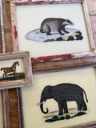 Animal reverse glass - reverse,