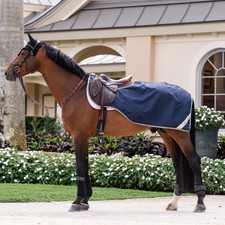 Horseware Ireland Amigo