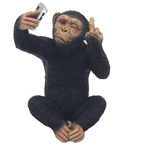Cheeky monkey home decor - cheeky,
