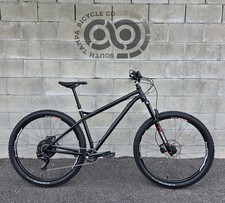 NS Bikes Eccentric Steel 29
