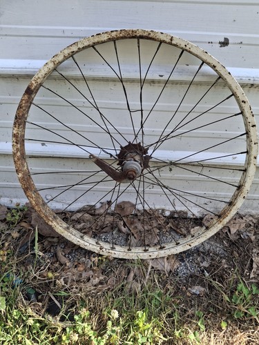 Schwinn painted 2 - s-2, skipp