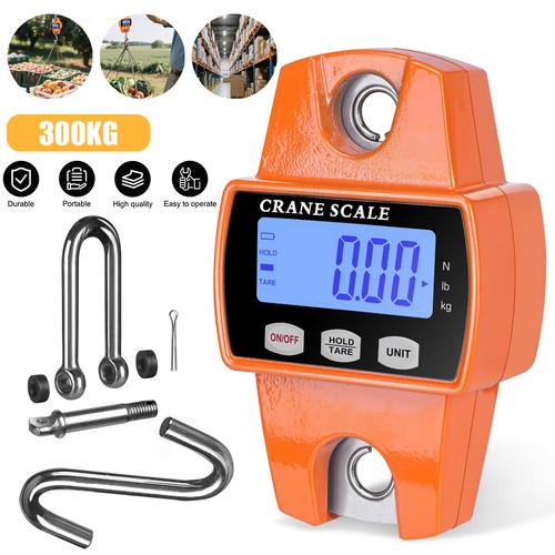 Crane scale hanging - crane,