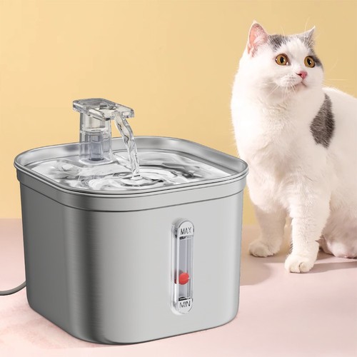 Cat dog water fountain - dog,