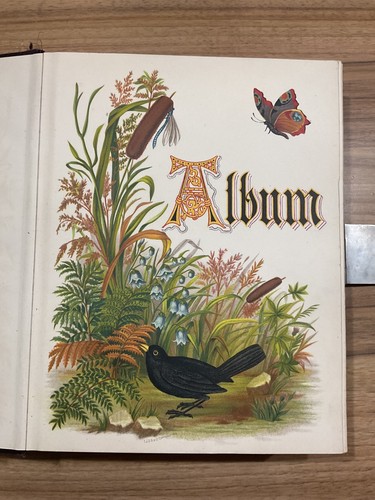 Victorian photo album - photo, "album