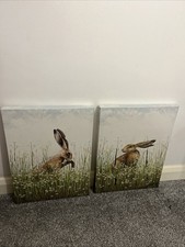 Spring meadow hares canvas - spring,