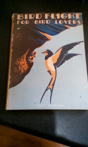 Bird flight for - for,