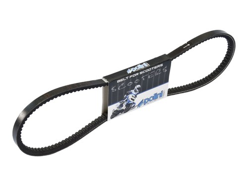 Drive belt polini speed - belt,
