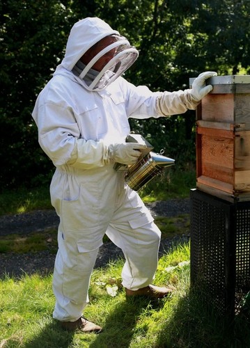 Beekeeping suit with fencing - beekeeping,